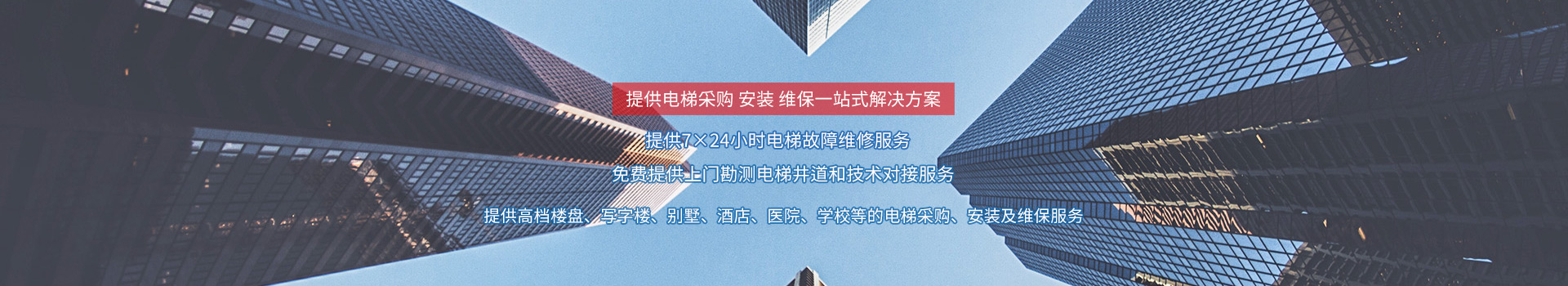 內(nèi)頁廣告圖1